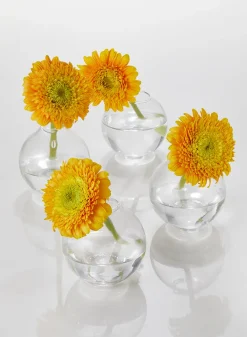 3in Wide Ball Glass Bud Vase, Set of 4
