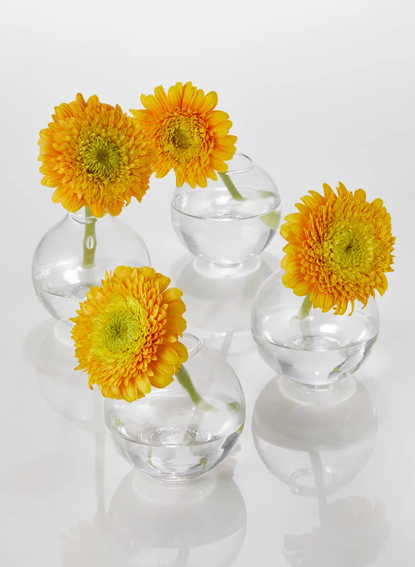 3in Wide Ball Glass Bud Vase, Set of 4