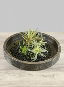 14in Wide Belgham Brushed Black Round Tray