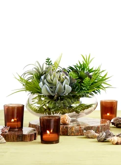 8in Wide Best Value Glass Garden Bowl, Case of 6