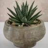 6.5in Wide Cintra Aged Black Clay Look Terracotta Bowl