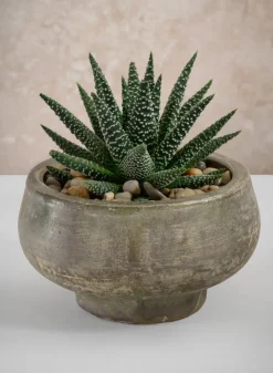 6.5in Wide Cintra Aged Black Clay Look Terracotta Bowl