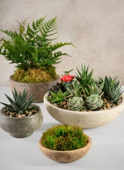 9in Wide Cintra Aged Clay Look Centerpiece Stoneware Bowl