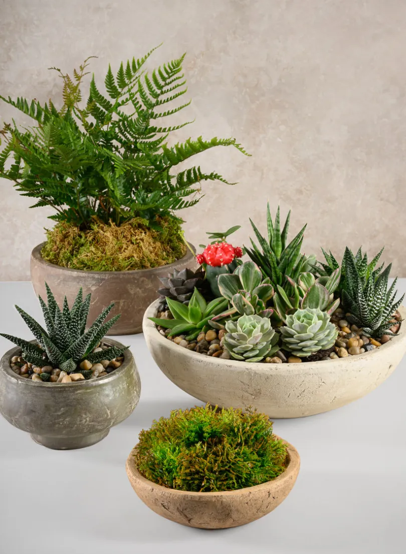 9in Wide Cintra Aged Clay Look Centerpiece Stoneware Bowl