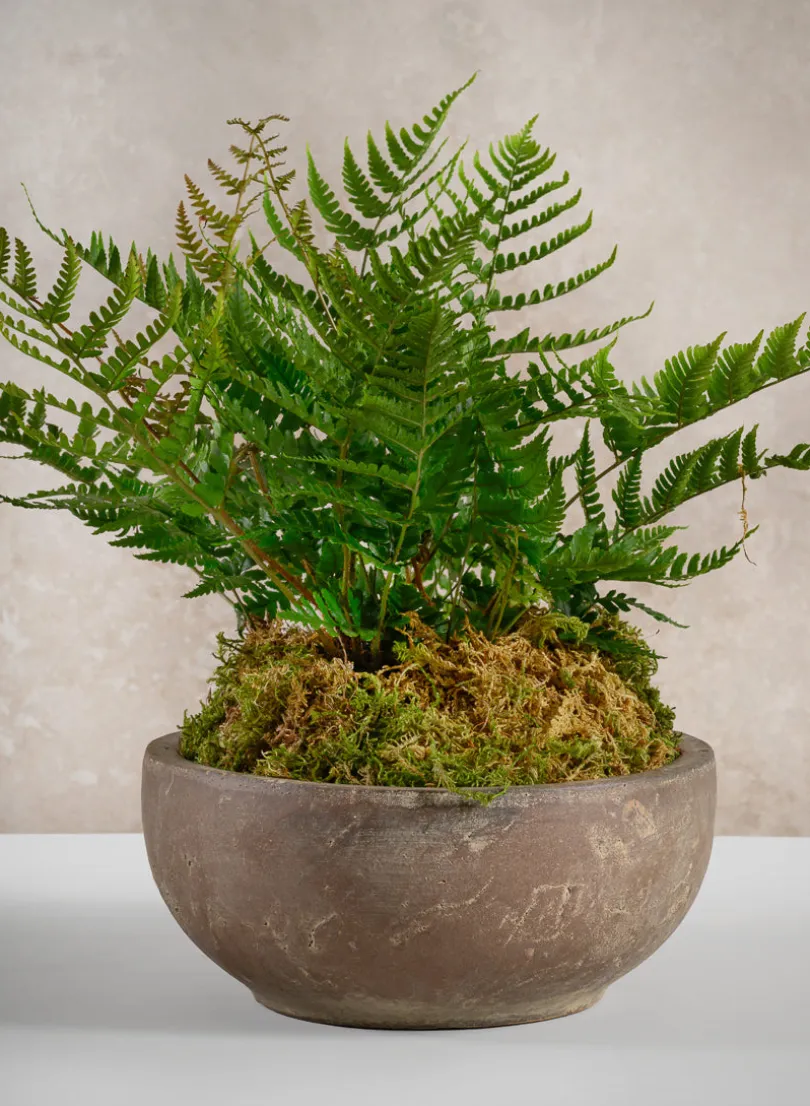 9in Wide Cintra Aged Clay Look Centerpiece Stoneware Bowl