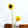 4in Wide Clear Ball Glass Vase, Set of 2