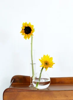 4in Wide Clear Ball Glass Vase, Set of 2