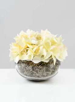 6in Wide Clear Glass Bowl
