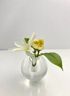 3in Wide Crystal Ball Glass Vase