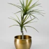 9in Wide Devdas Brass Look Aluminum Indoor Garden Pot, Medium
