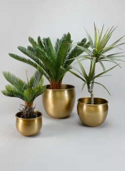 9in Wide Devdas Brass Look Aluminum Indoor Garden Pot, Medium