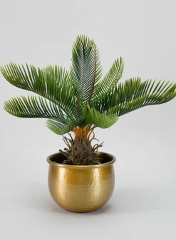 6.75in Wide Devdas Brass Look Aluminum Indoor Garden Pot, Small