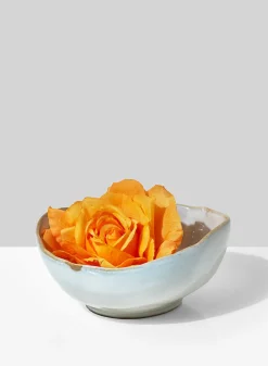6in Wide Freeform Edge Ceramic Potter's Bowl
