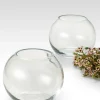 6in Wide Glass Fishbowl