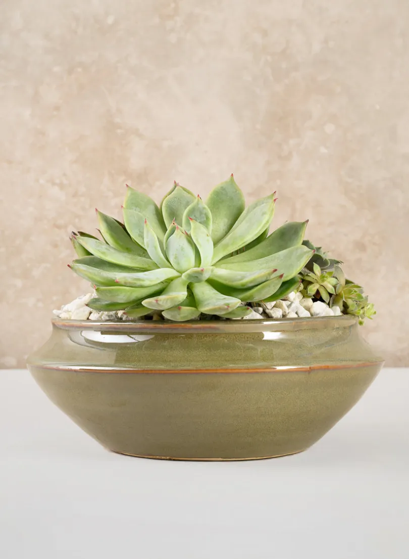 7.5in Wide Green Glaze Ceramic Ikebana Bowl