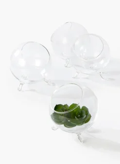 4in Wide Greenhouse Glass Bowl, Mini, Set of 4
