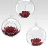 4in Wide Hanging Ball Glass Vase, Set of 3