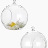 6in Wide Hanging Glass Ball Votive Holder