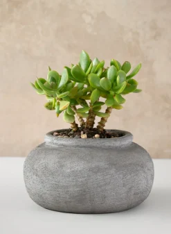 8in Wide Iquitos Venetian Grey Ceramic Bowl