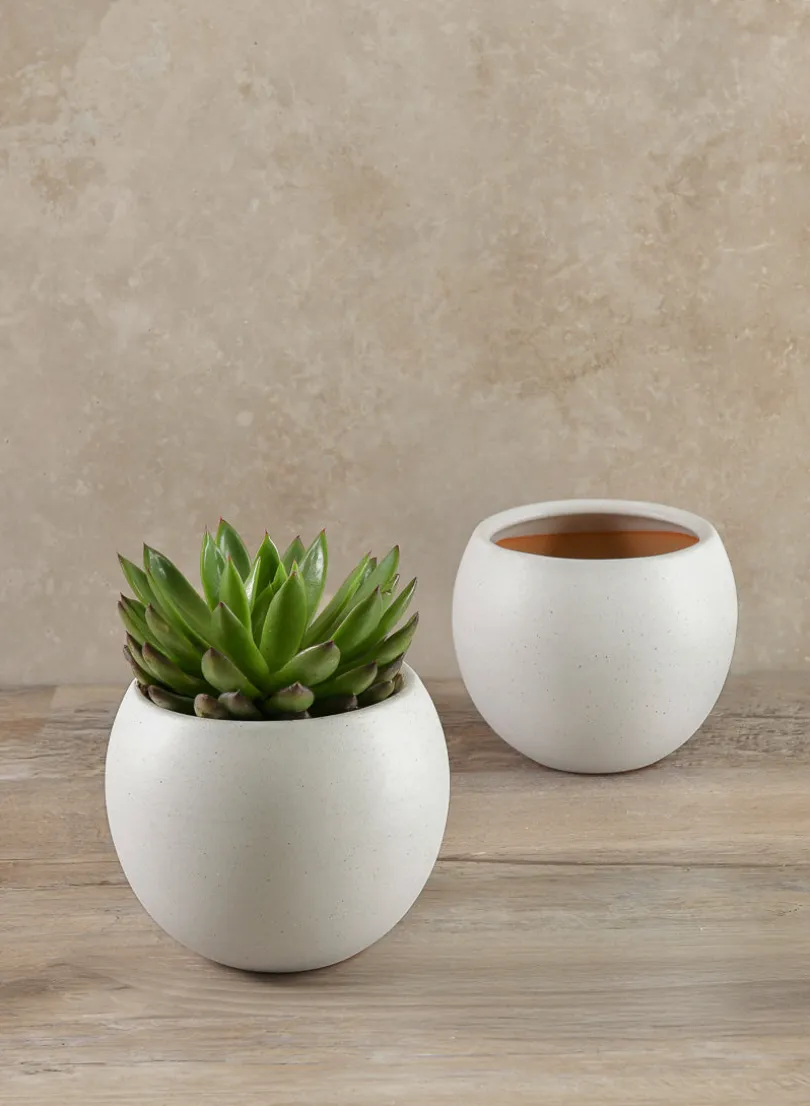 6in Wide Jorvik White Ceramic Fishbowl, Set of 2