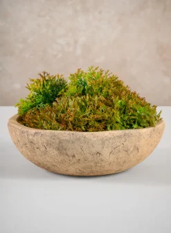 7in Wide Leiria Antique Earth Tone Terracotta Bowl