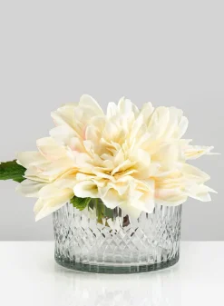 5.5in Wide Limoge Etched Low Glass Cylinder
