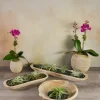 12in Wide Makassar Teak Dish Wood Bowl