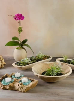 12in Wide Makassar Teak Dish Wood Bowl