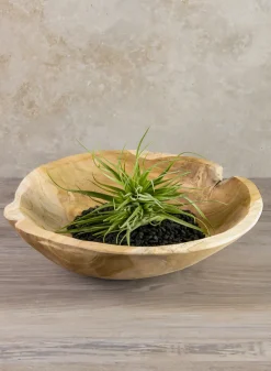 12in Wide Makassar Teak Dish Wood Bowl