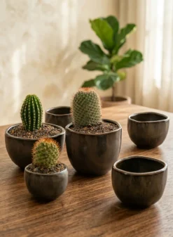 5.75in Wide Mashiko Aged Brown Ceramic Pot