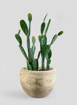 18in Wide Paulownia Wood Fishbowl Pot