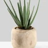 8in Wide Paulownia Wood Fishbowl Vase