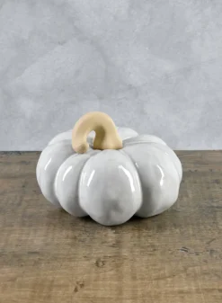 6in Wide Porcelain White Wash Pumpkins