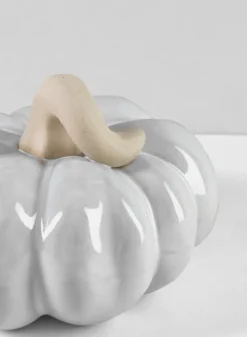 6in Wide Porcelain White Wash Pumpkins