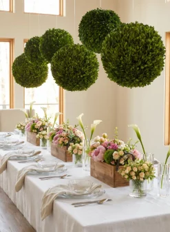 16in Wide Preserved Boxwood Ball