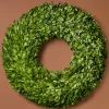 18in Wide Preserved Boxwood Wreath