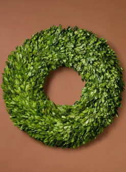 18in Wide Preserved Boxwood Wreath