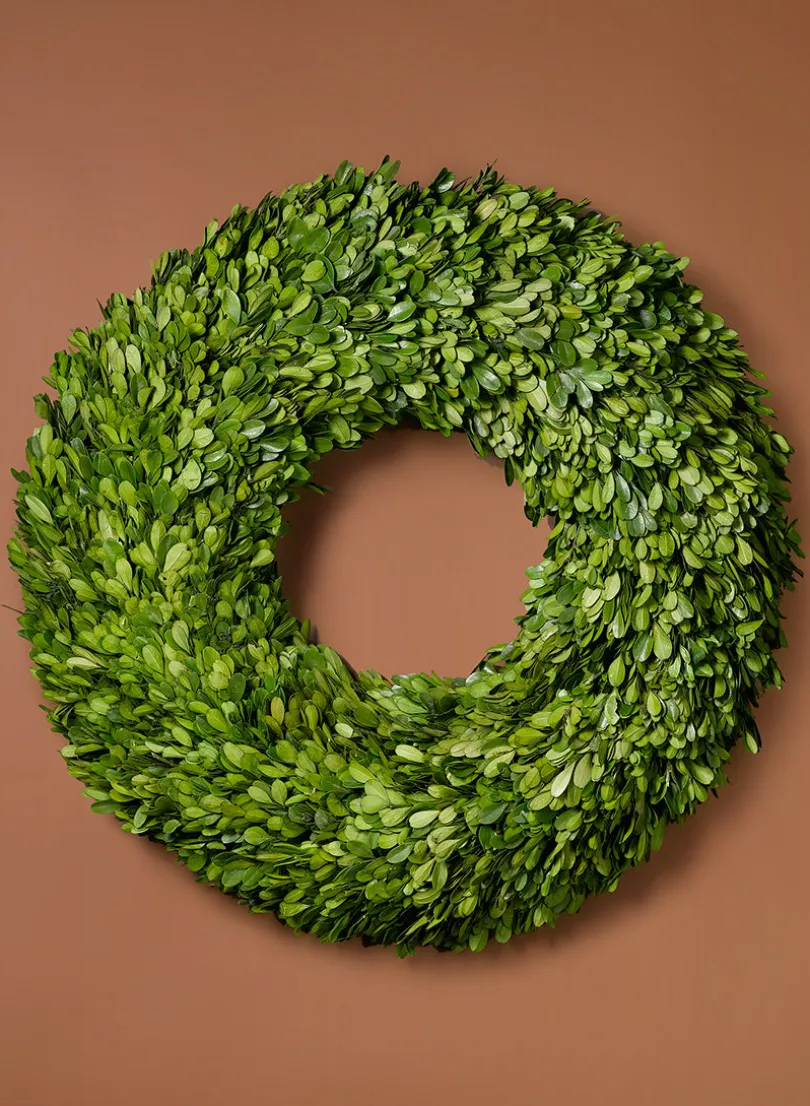 18in Wide Preserved Boxwood Wreath