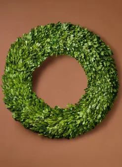 24in Wide Preserved Boxwood Wreath