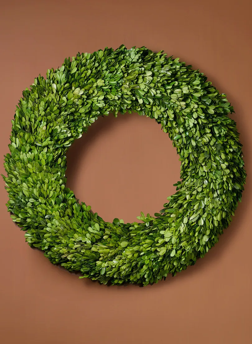 24in Wide Preserved Boxwood Wreath