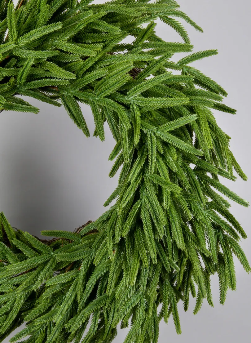 26in Wide Real Touch Tasmanian Cedar Pine Wreath