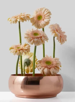 7in Wide Shallow Copper Plated Bowl