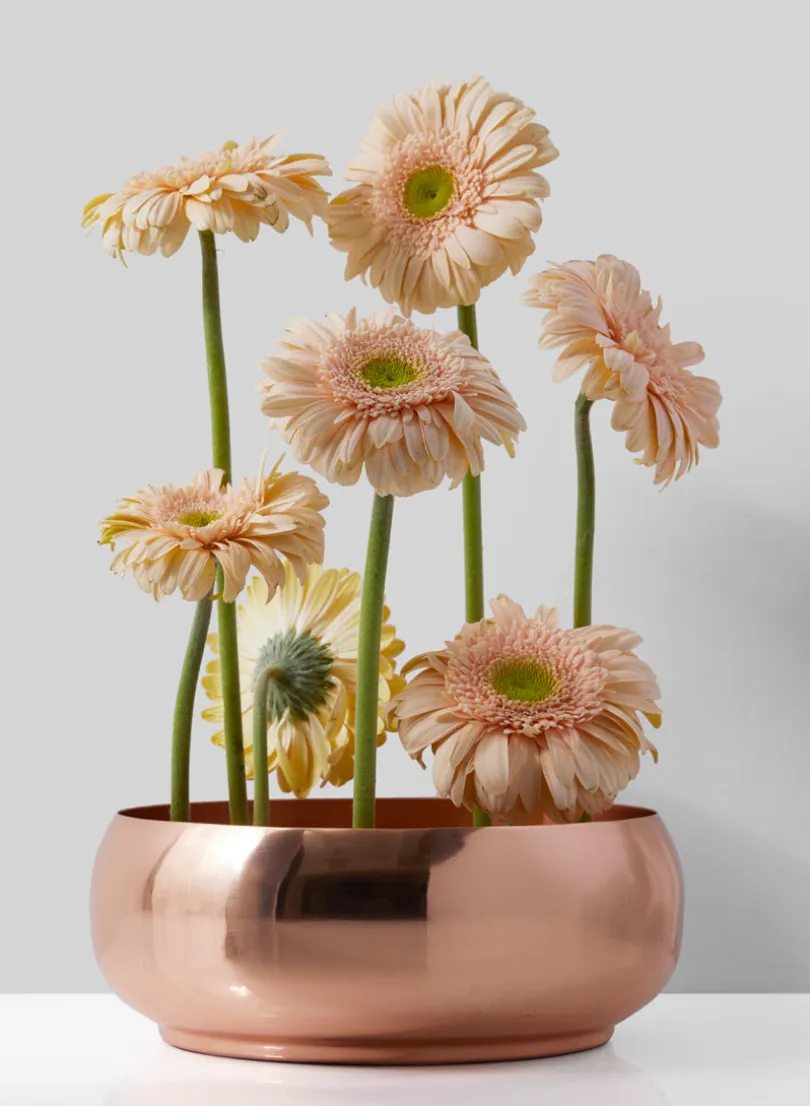 7in Wide Shallow Copper Plated Bowl