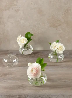 4in Wide Veroce Glass Vase, Mini, Set of 4