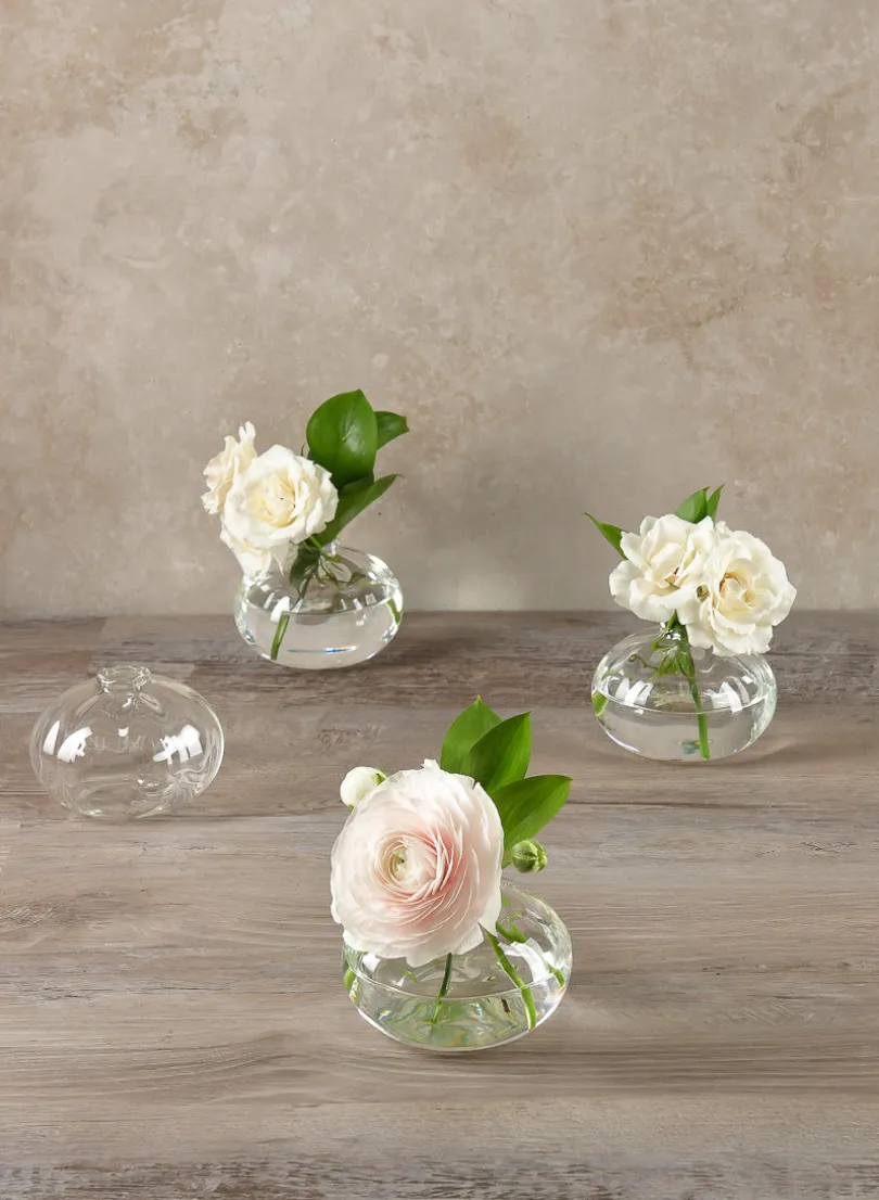 4in Wide Veroce Glass Vase, Mini, Set of 4