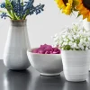 5in Wide White Ceramic Bowl