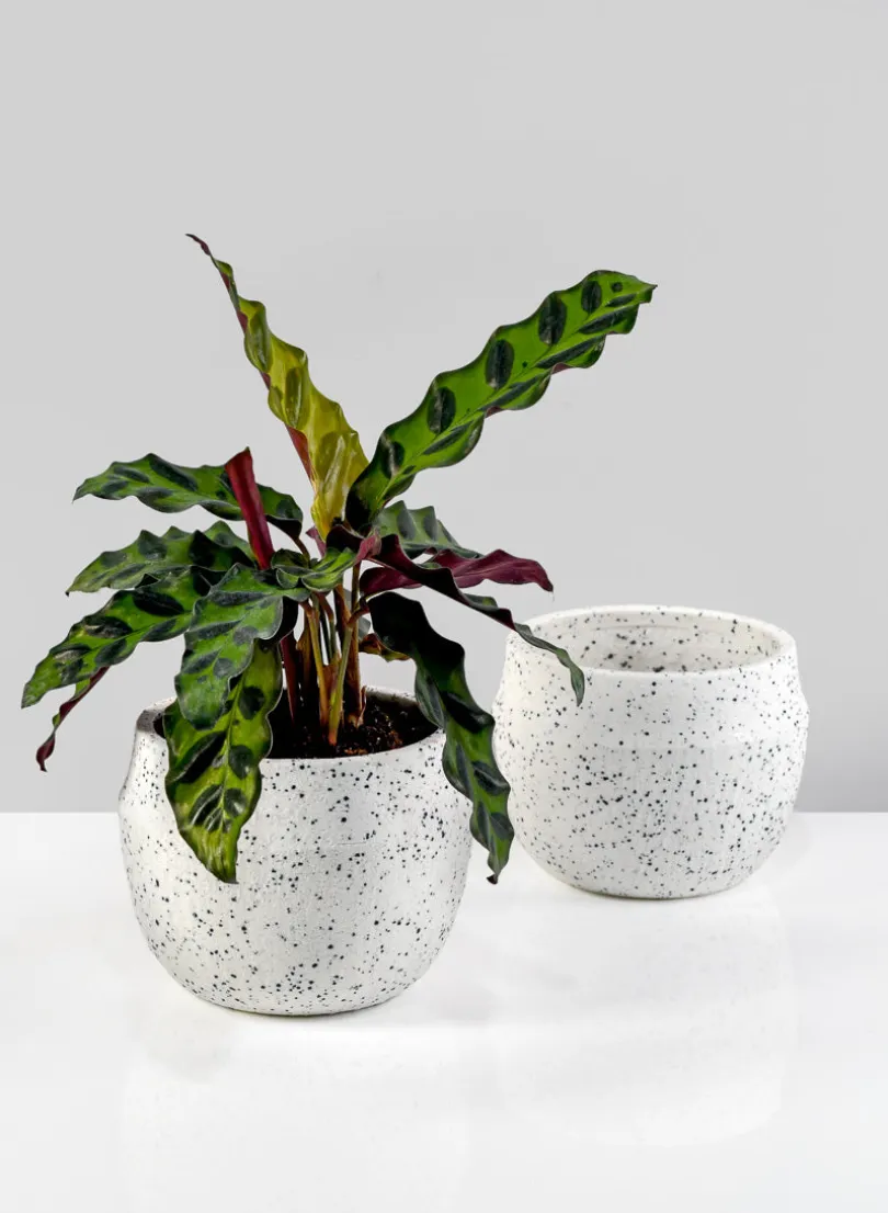 4in Wide White Granite Goki Bowl, Set of 2