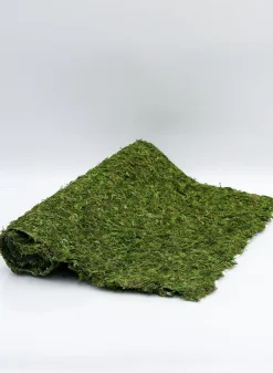 18in x 48in Preserved Moss Mat