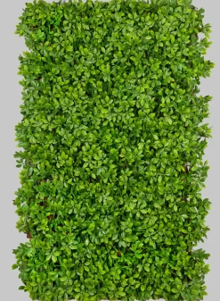 40in x 80in UV-Resistant Boxwood Accordion Expanding Trellis (Indoor/Outdoor)
