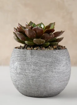 Iquitos Venetian Grey Ceramic Pot